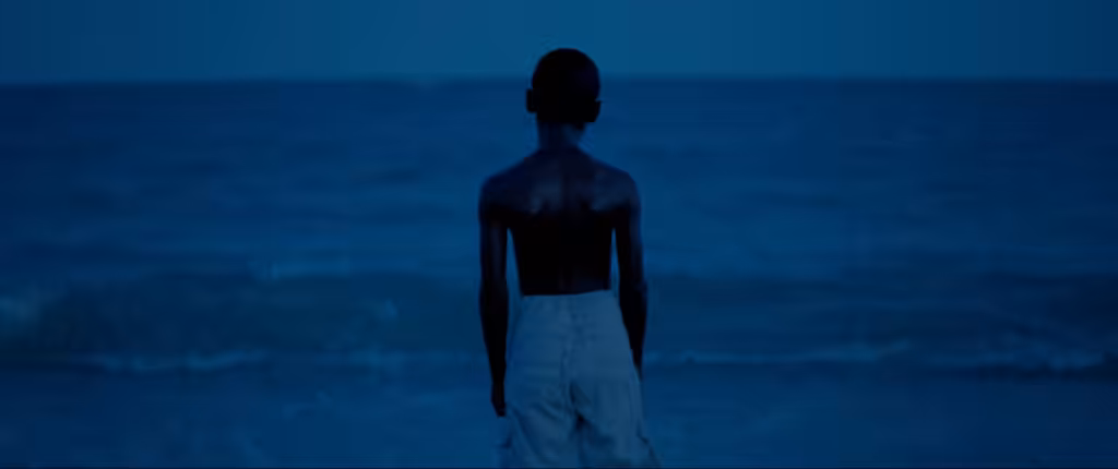 moonlight