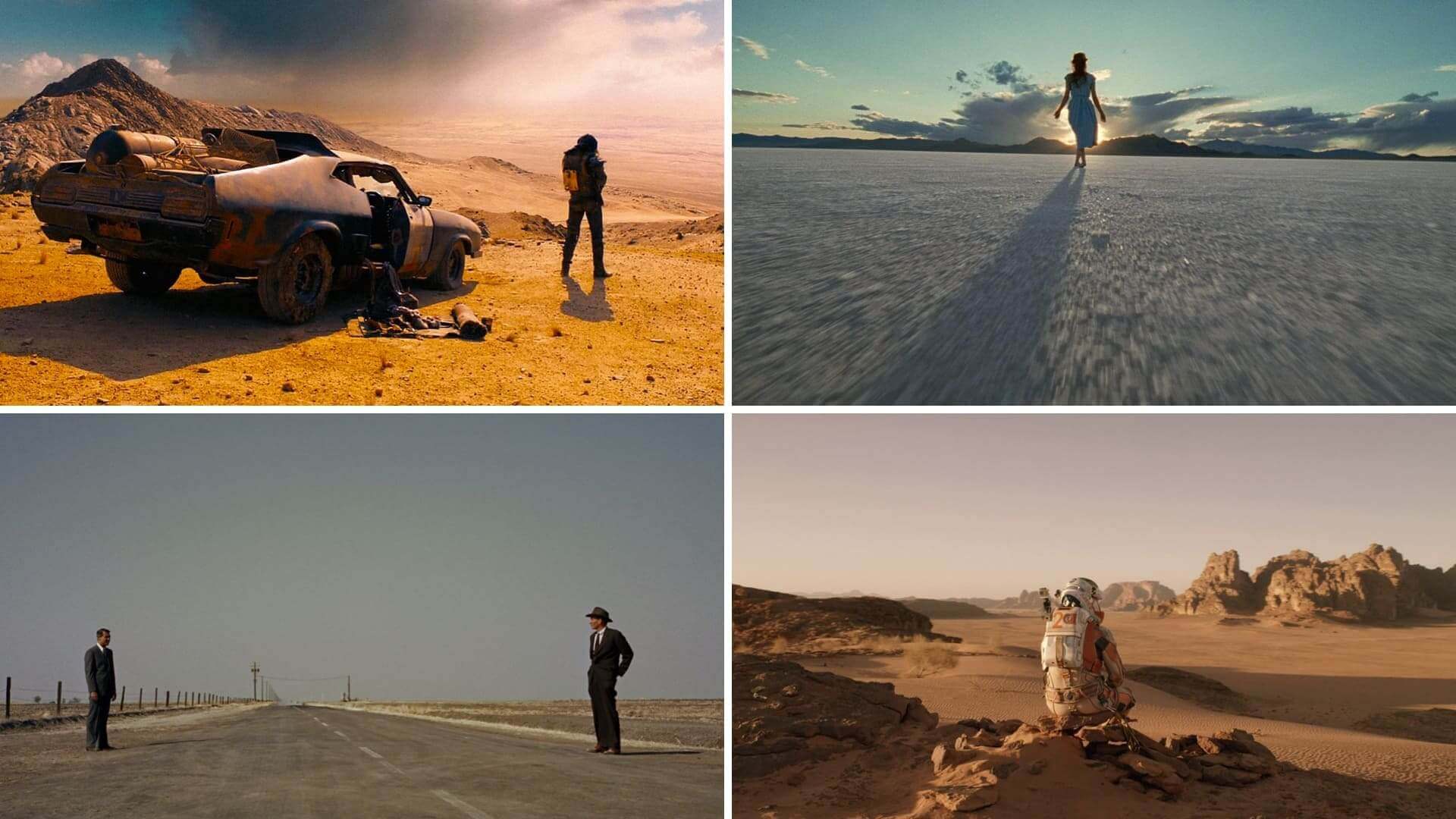 Long Shot Film Example