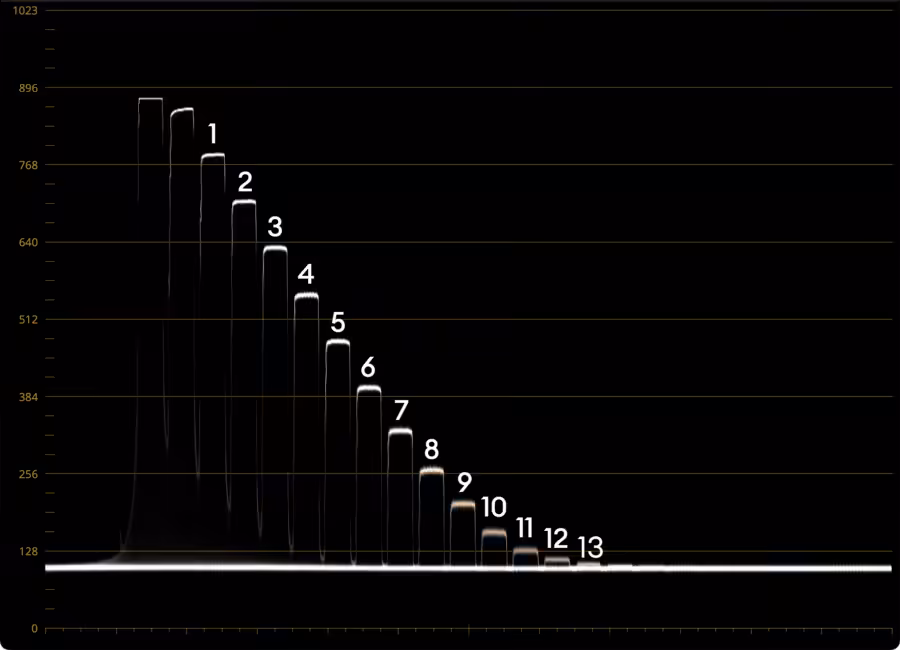 Sony Burano WAVEFORM 6K FFc XAVC