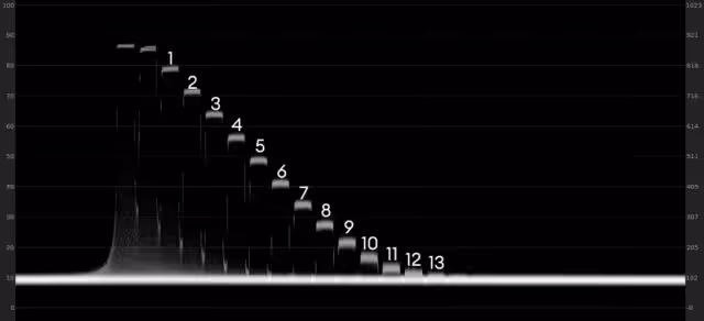 Sony Venice 2 WAVEFORM 8K RAW