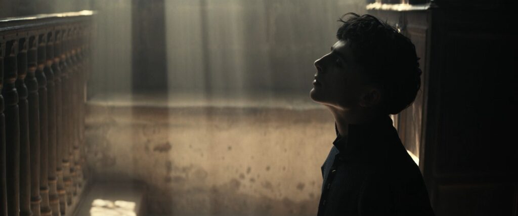 How Cinematographers Create Mood - The King Backlighting