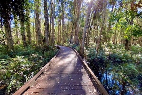 Coombabah Lakelands, Gold Coast filming location