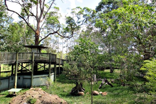 Lone Pine Koala Sanctuary, Brisbane filming location