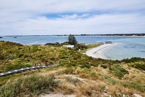 Penguin Island, Perth filming location
