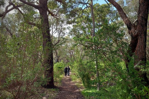 Yanchep National Park, Perth filming location