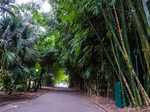 City Botanic Gardens, Brisbane filming location