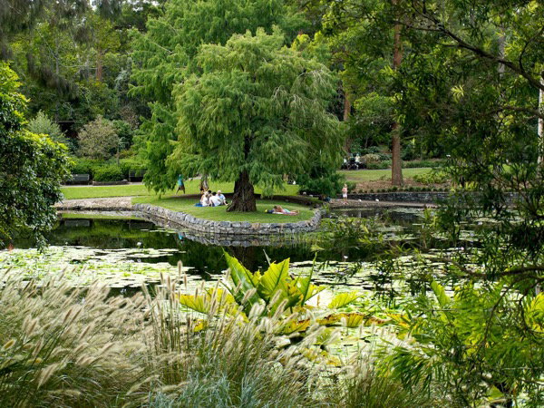 Mt Coot-tha Lookout, Brisbane filming location