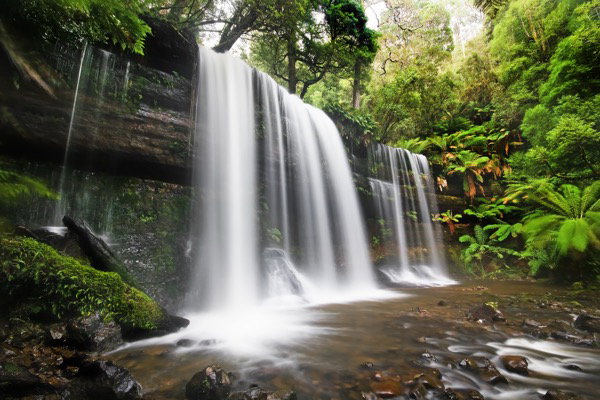Mount Field National Park, Hobart filming location