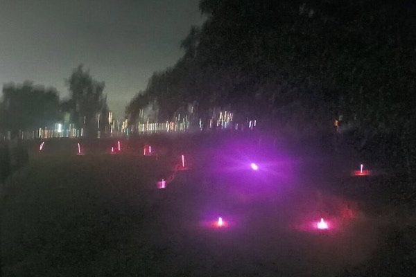 Barangaroo Reserve, Sydney filming location