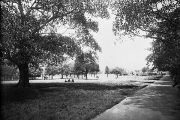 Hyde Park, Sydney filming location